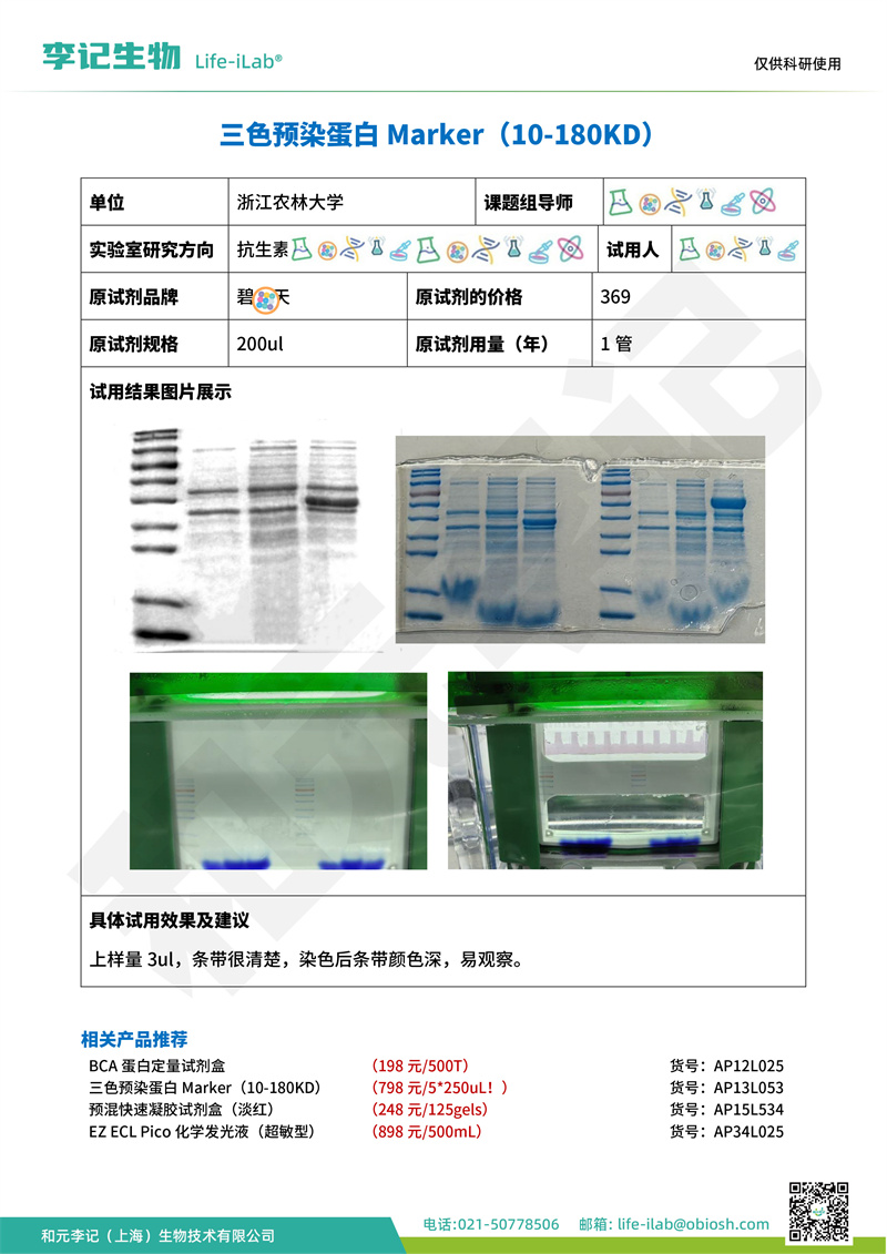 蛋白Mark1浙江农林大学-改.jpg