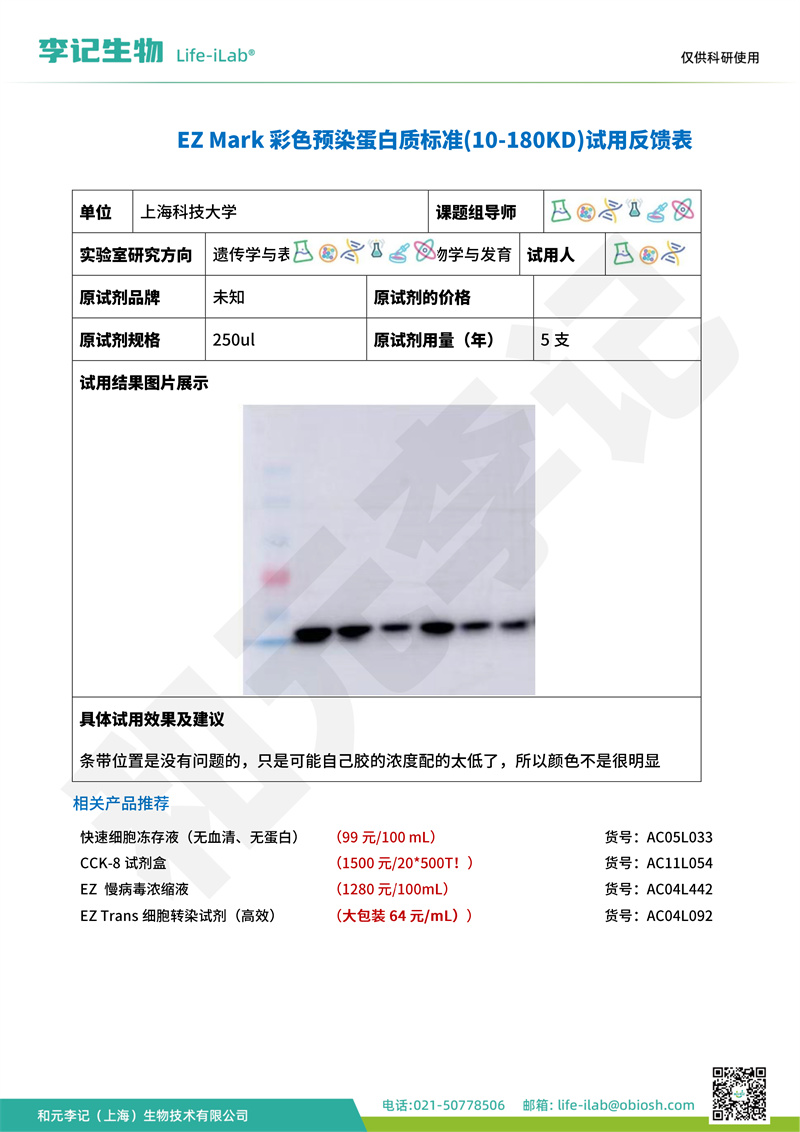 蛋白Mark2上海科技大学-改.jpg