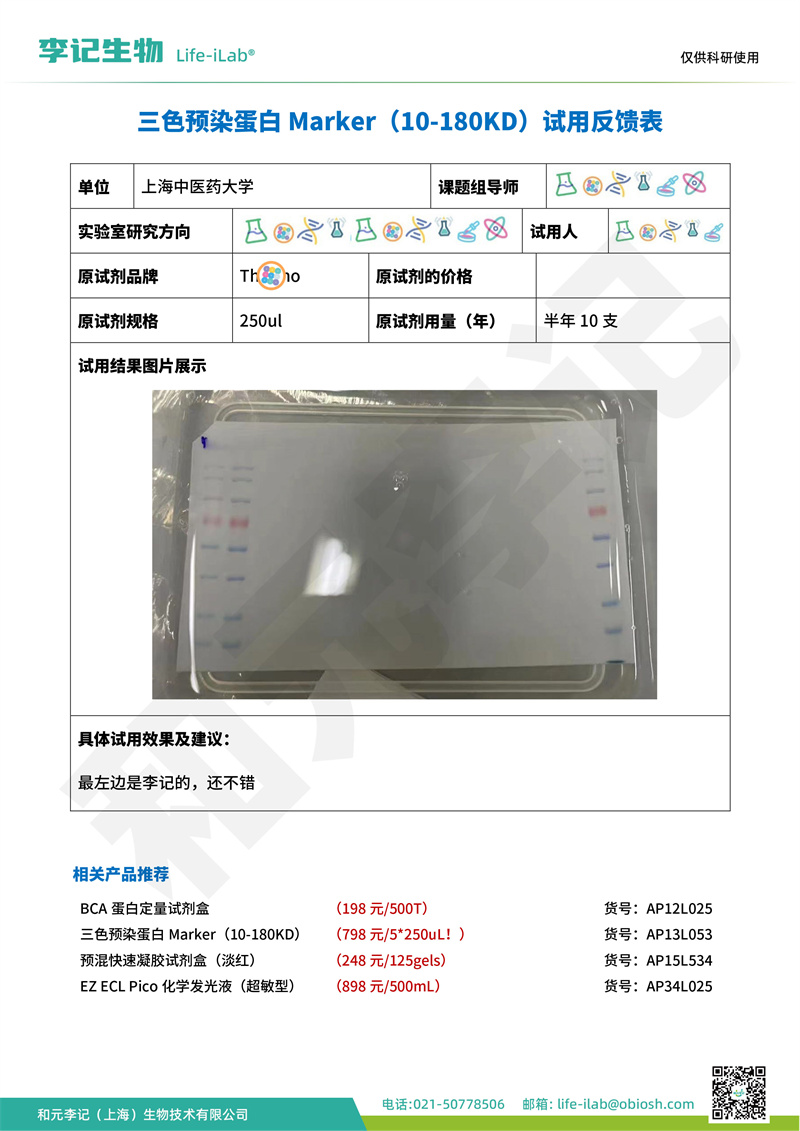 蛋白Mark2上海中医药大学-改.jpg