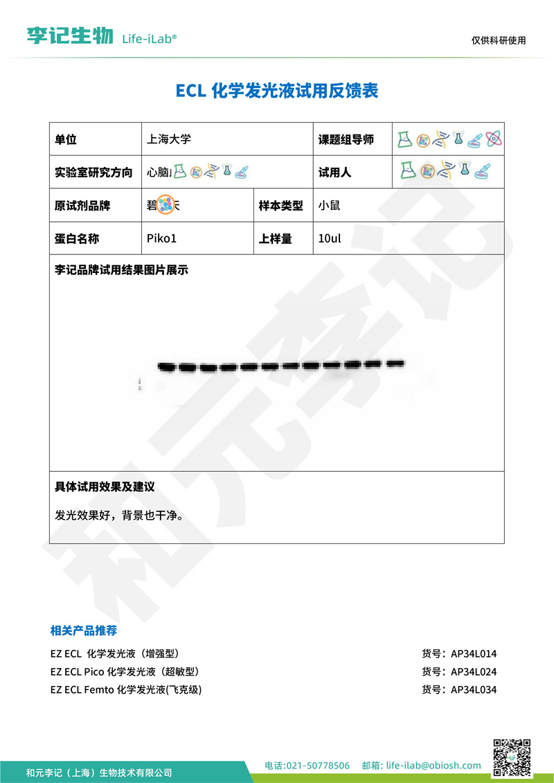 发光液1上海大学(1)-改.jpg