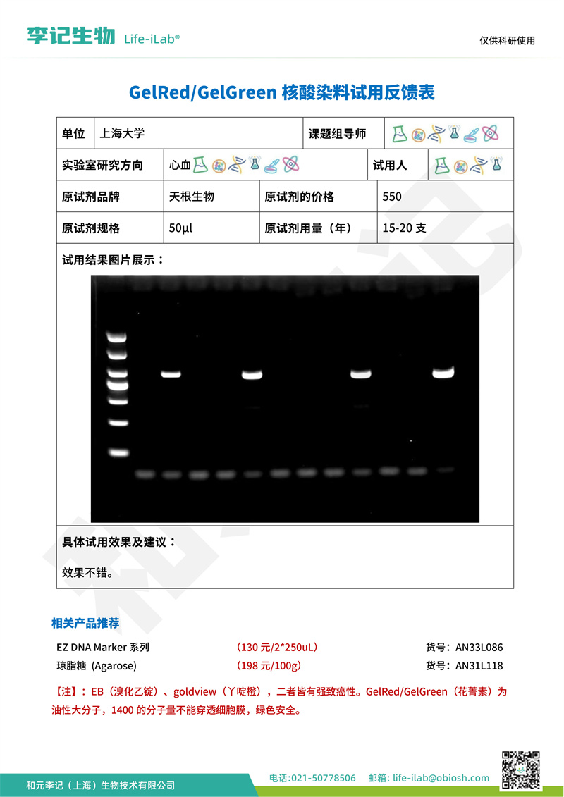 核酸染料2上海大学-改.jpg