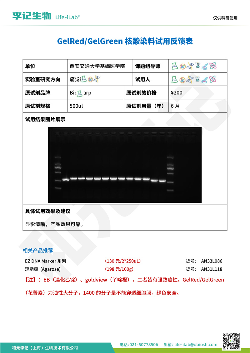 核酸染料2西安交通大学基础医学院-改.jpg