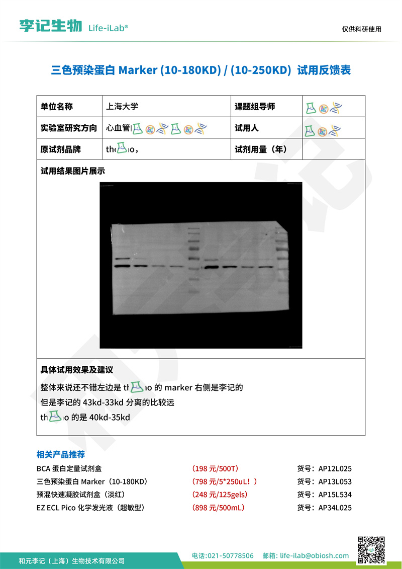 202402-蛋白Mark-上海大学(1).jpg