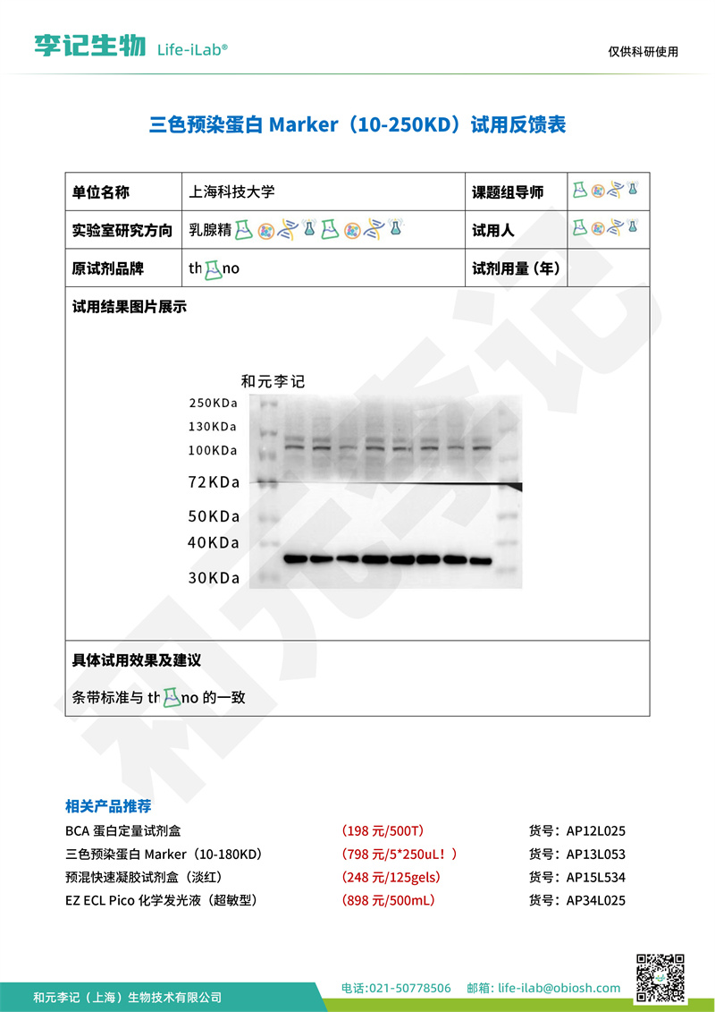 202404-蛋白Mark250-上海科技大学(2).jpg