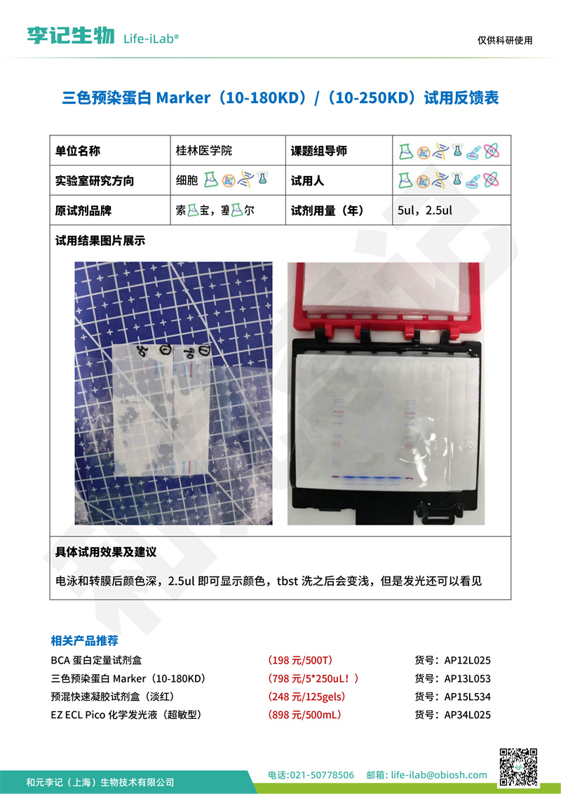 202404-蛋白Mark-桂林医学院(1).jpg