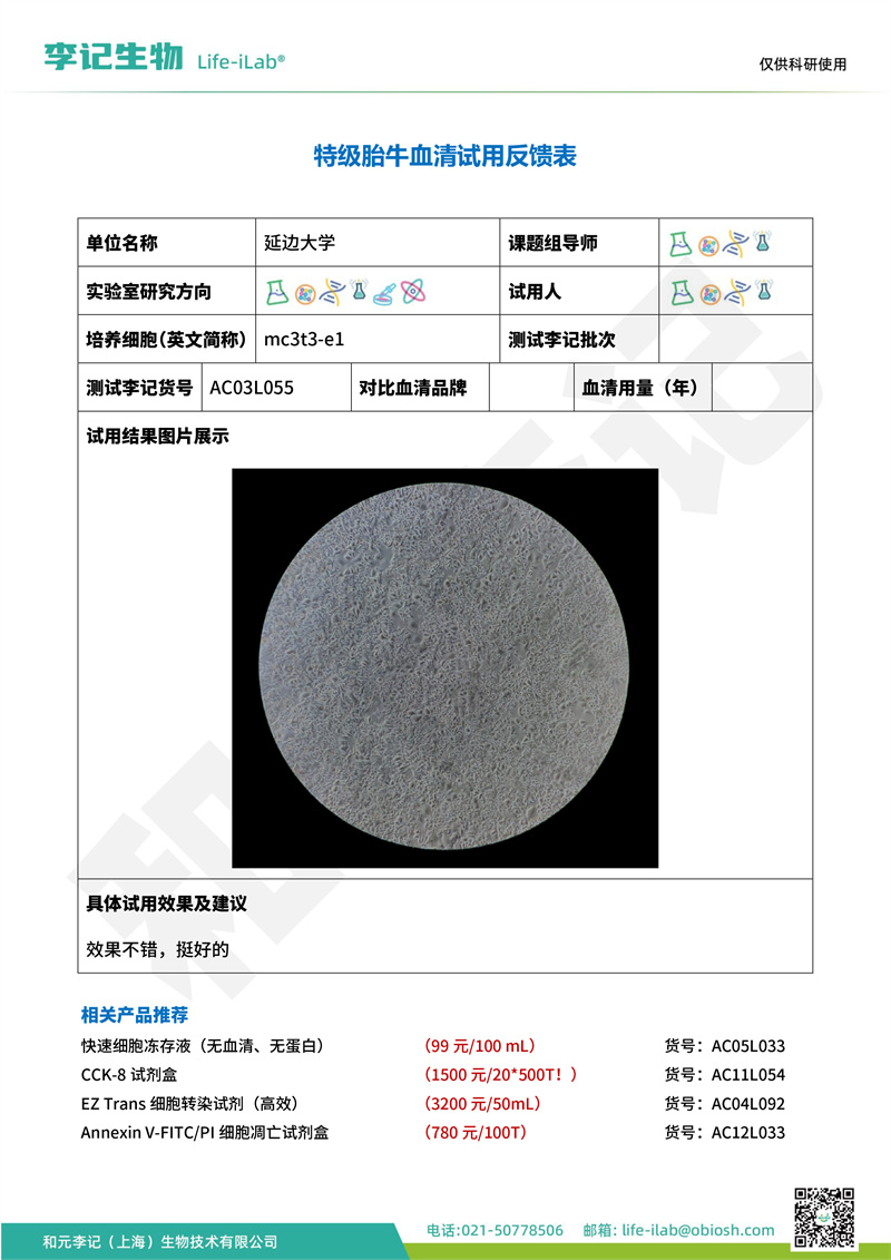 202408-FBS-mc3t3-e1-延边大学(1).jpg