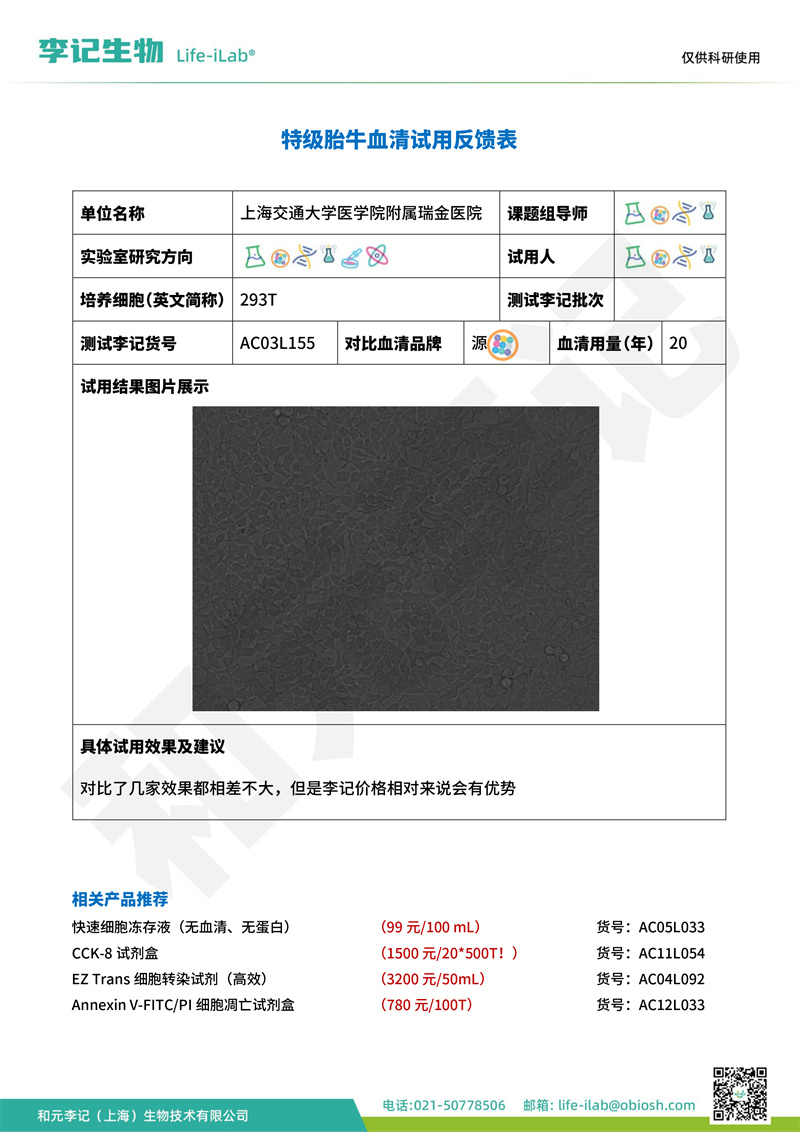 202409-FBS155-293T-上海交通大学医学院瑞金医院(1).jpg