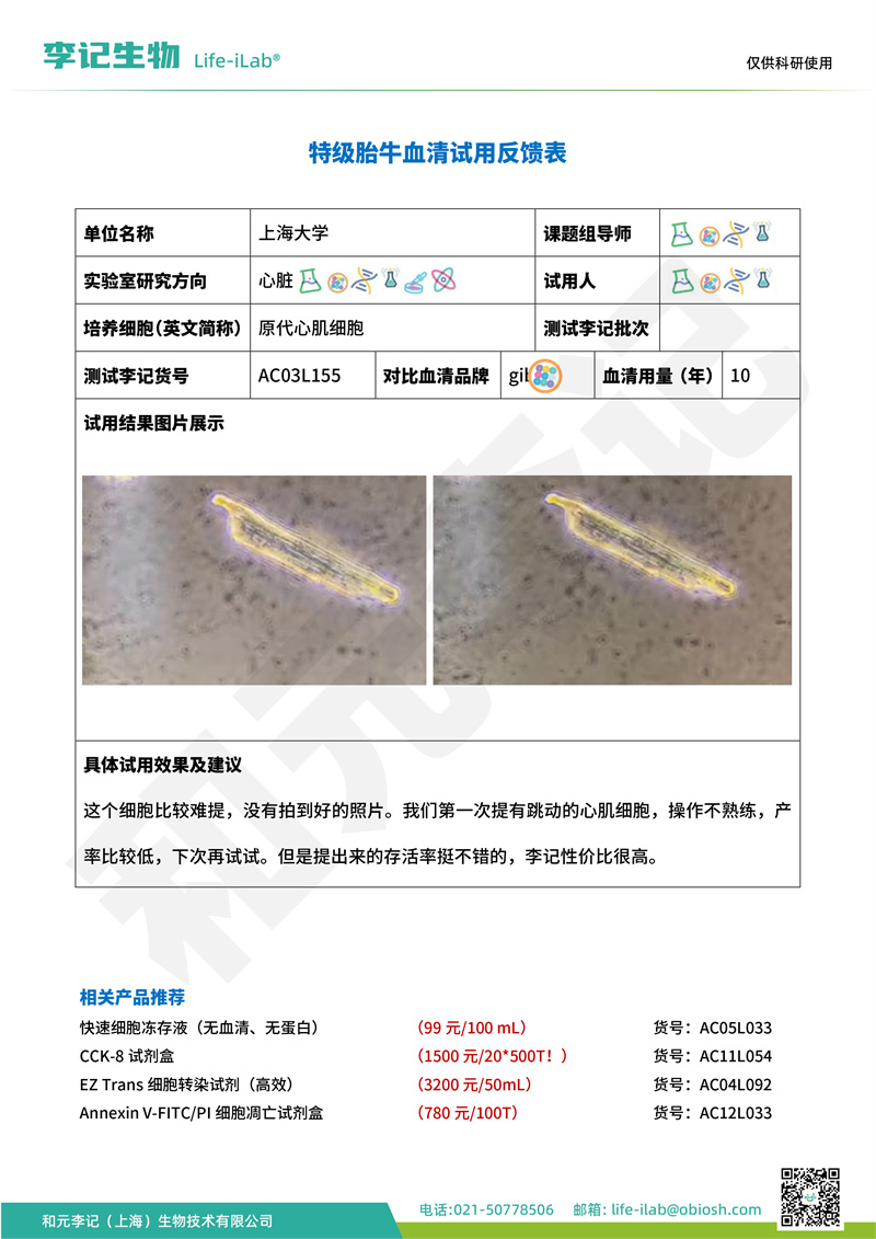 202409-FBS155-原代心肌-上海大学(1).jpg