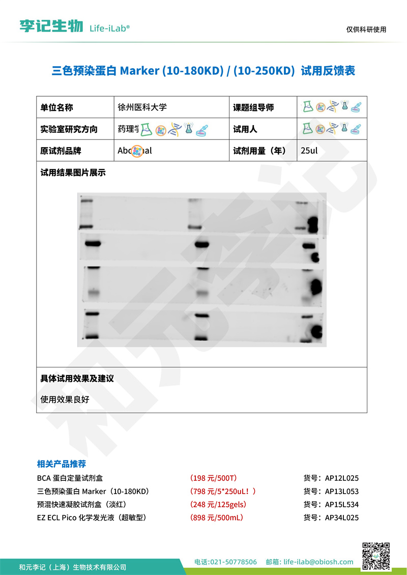 202409-蛋白Mark-徐州医科大学(1).jpg