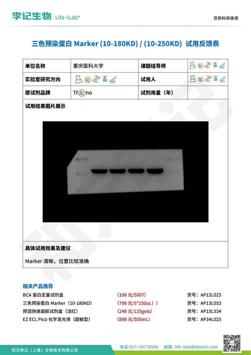 202409-蛋白Mark-重庆医科大学(1).jpg