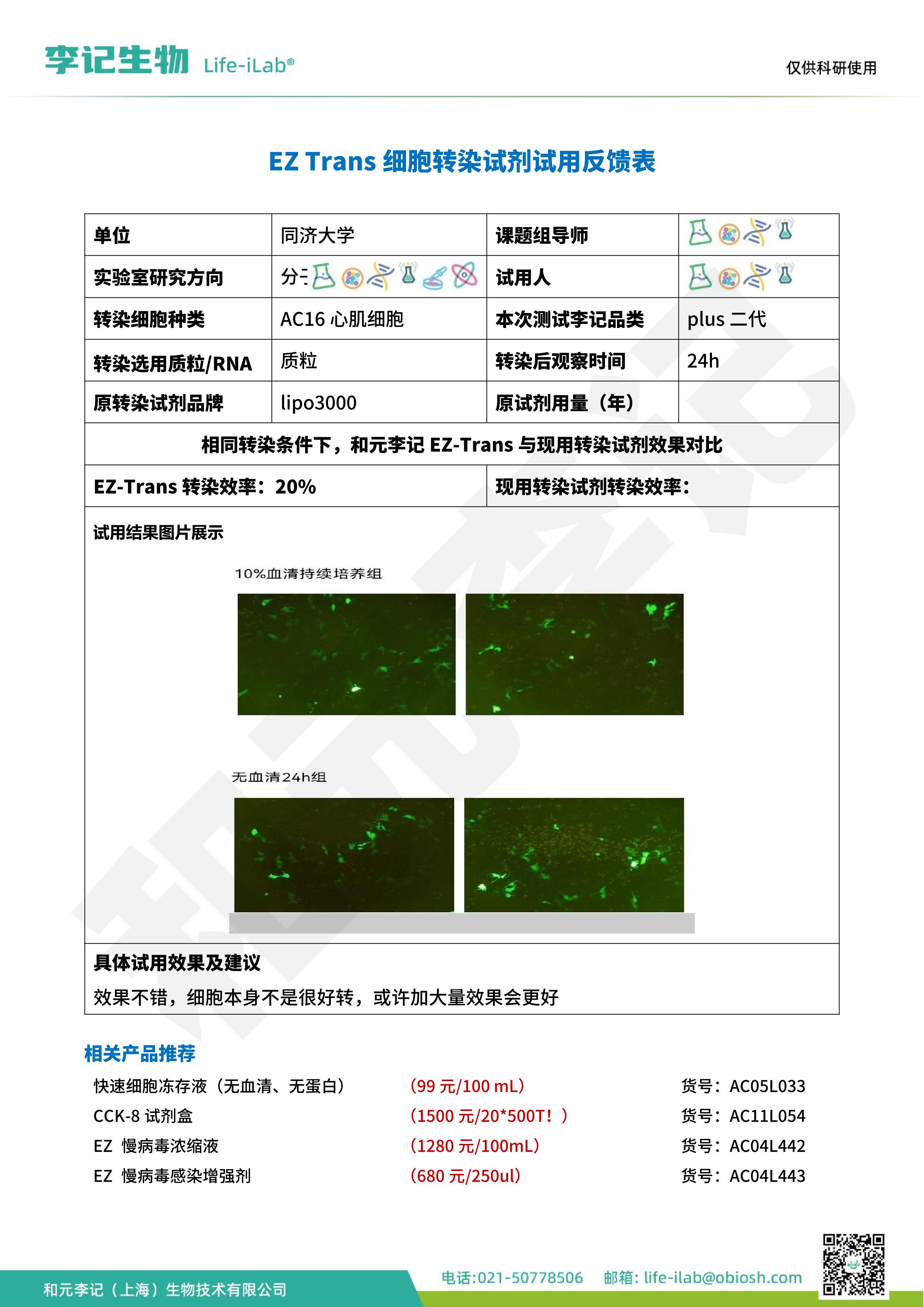 202502-转染二代-AC16心肌细胞-同济大学O.jpg