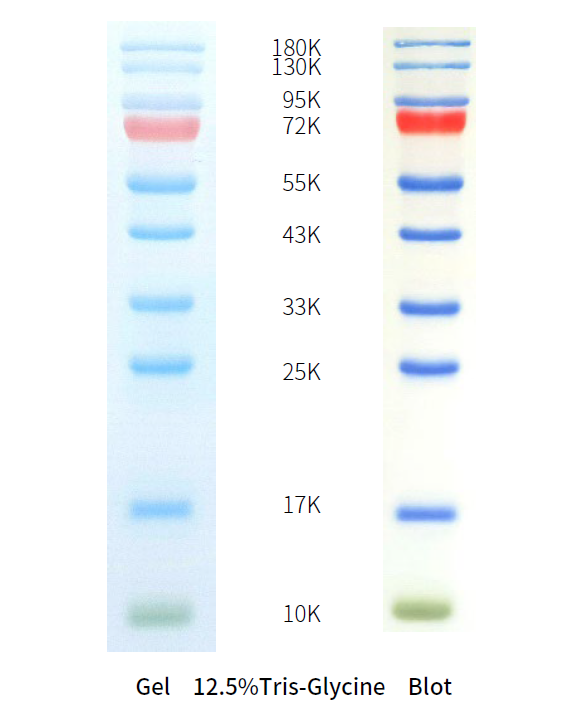 /ueditor/image/20251231/1767162815519422/image.png image.png