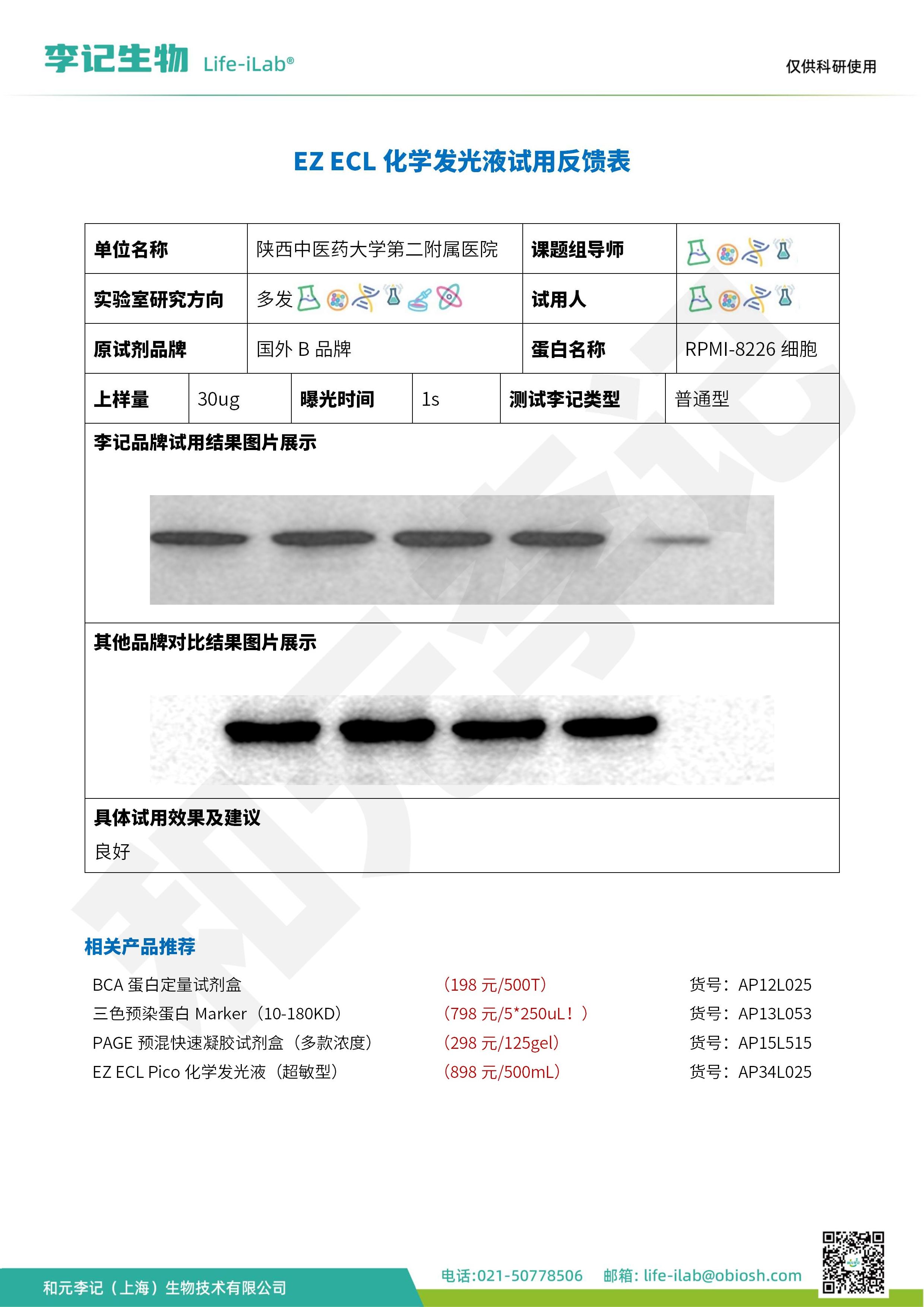 2512-ECL化学发光液-RPMI-8226细胞-陕西中医药大学_1.jpg