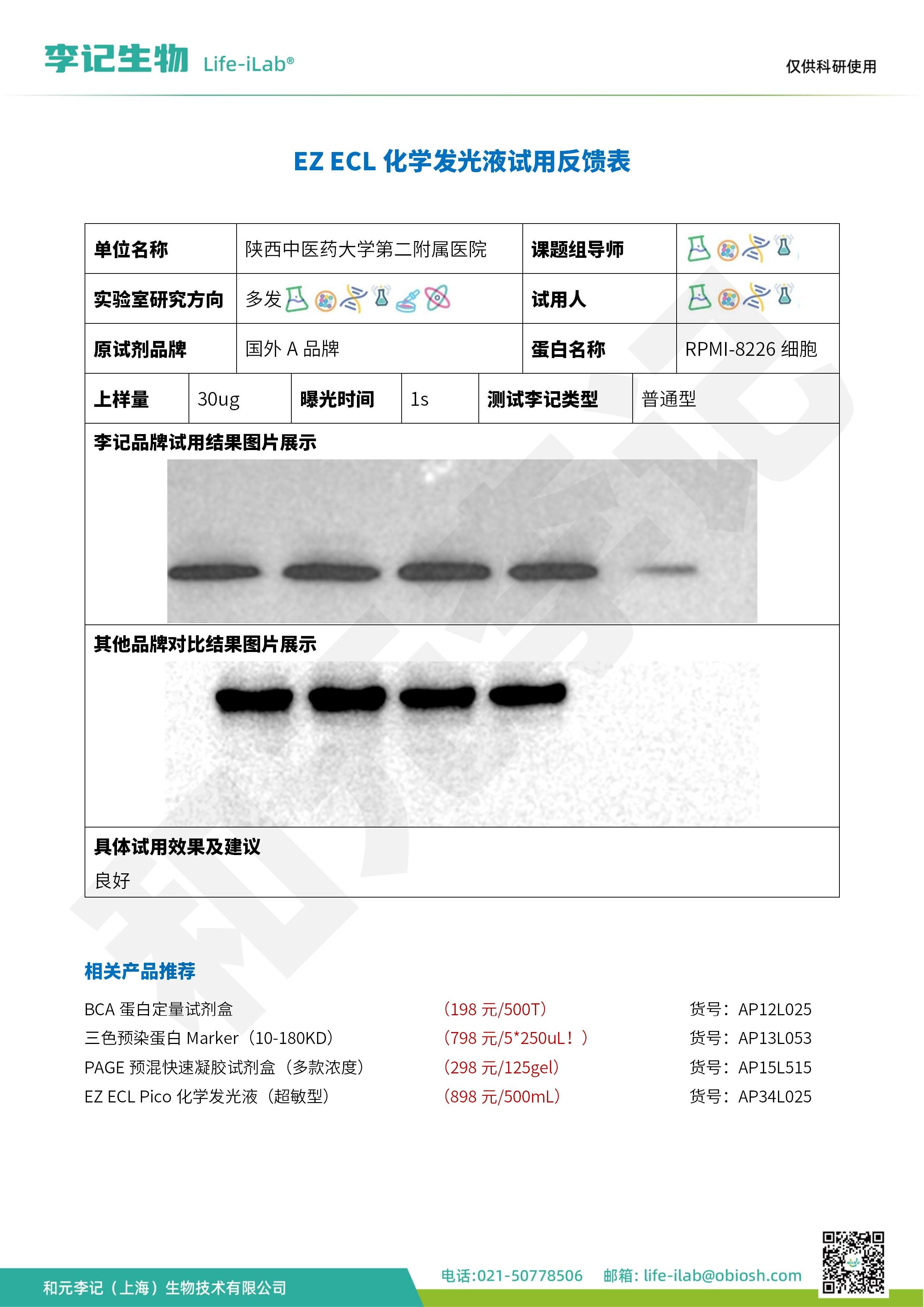 2512-ECL化学发光液-RPMI-8226细胞-陕西中医药大学第二附属医院_1.jpg