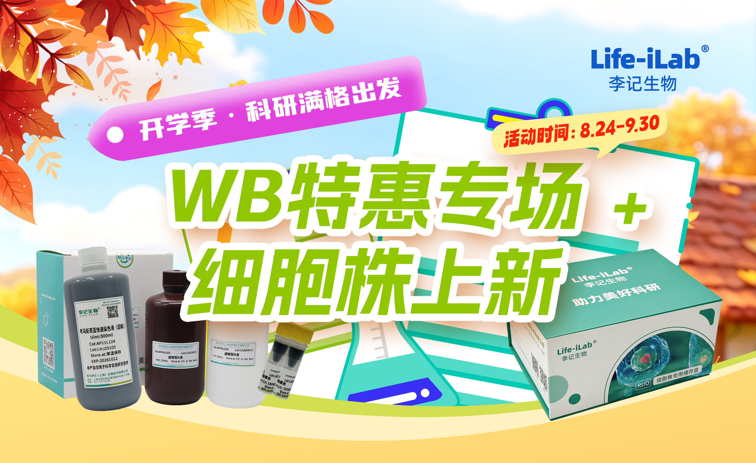 /ueditor/image/20260819/1787122485111349/配图1.jpg 配图1.jpg
