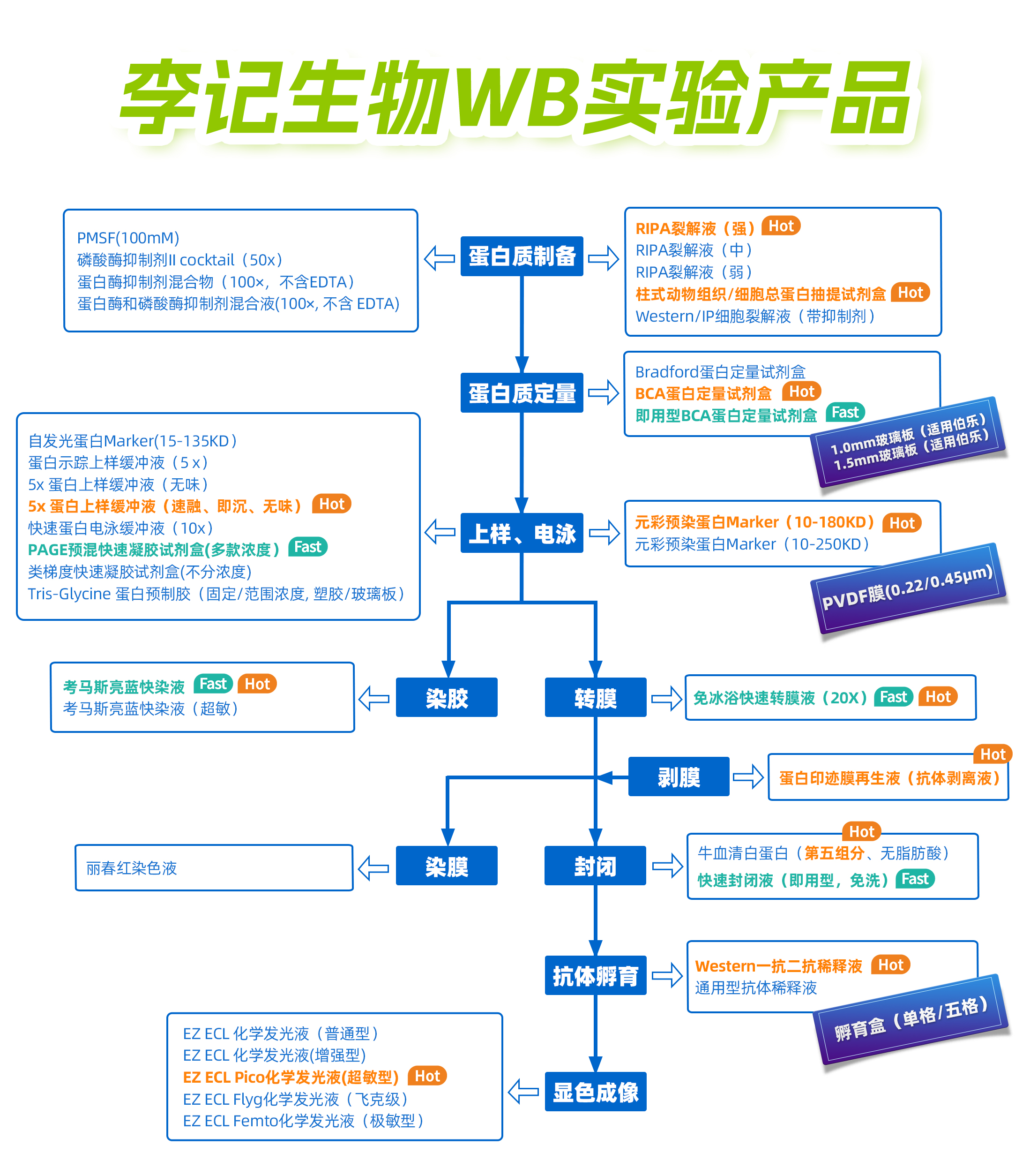 wb实验图20260616.jpg